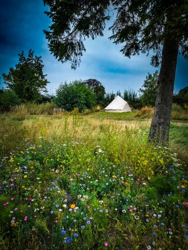 Teltplads i den vilde natur